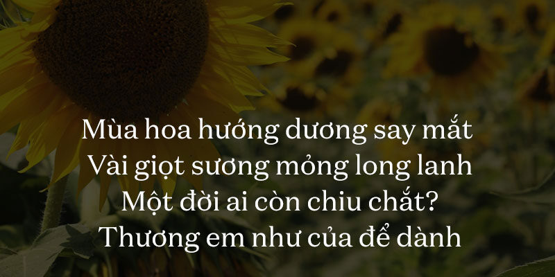 Font iCiel Domaine Text