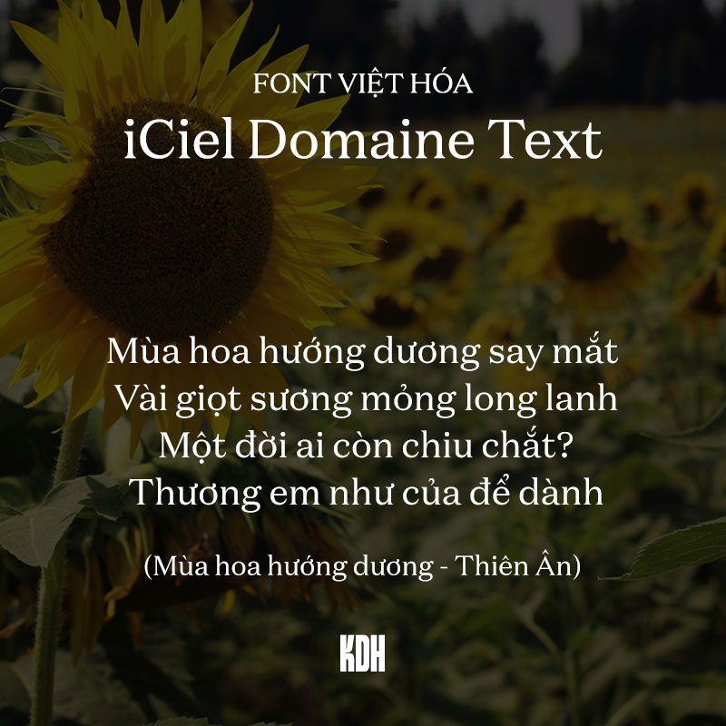 Font iCiel Domaine Text