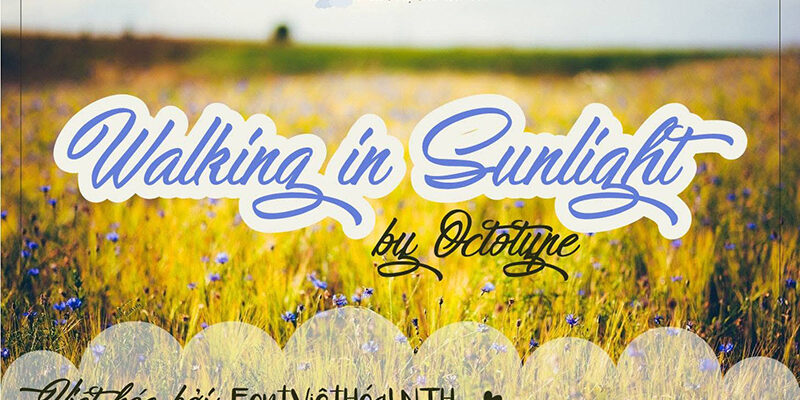 Font LNTH-Walking in Sunlight