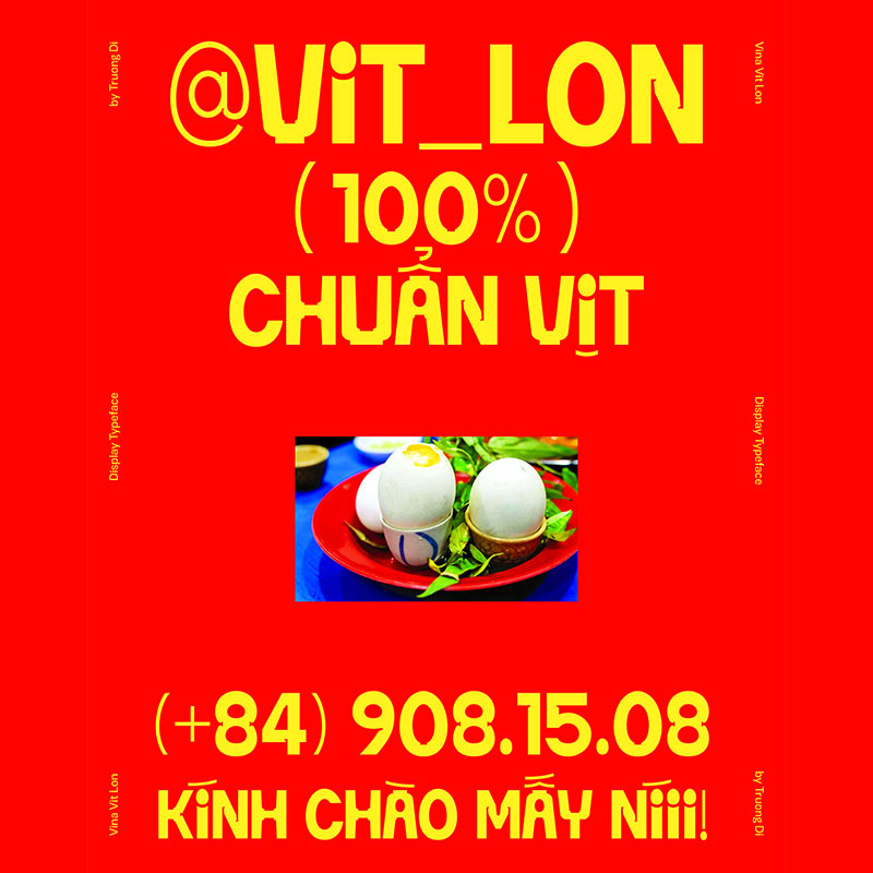 Font Vina Vit Lon