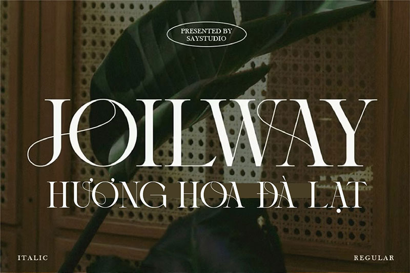 Font VL Joilway